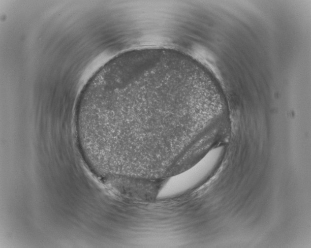 X0000069811469200606161837