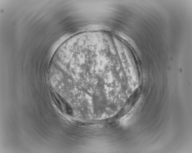 X0000069811473200606161837