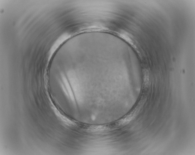 X0000069811474200606161837