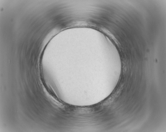 X0000069811475200606161837