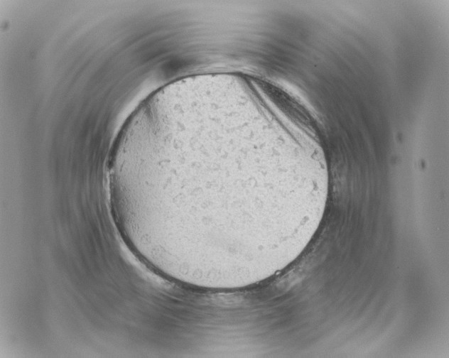 X0000069811476200606161837