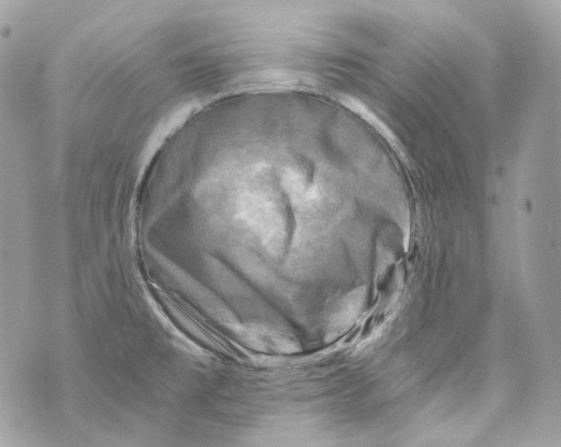 X0000069811477200606161837