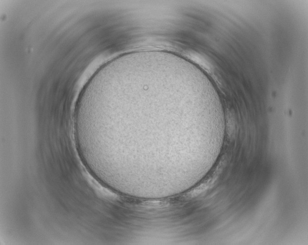 X0000069811478200606161837