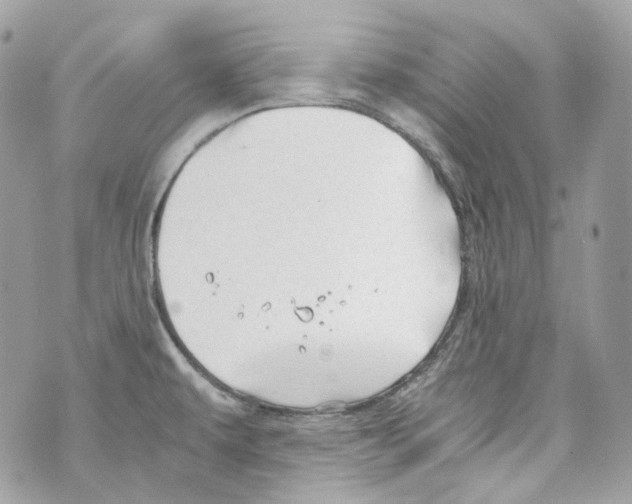 X0000069811479200606161837