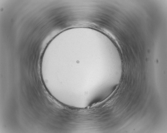 X0000069811480200606161837