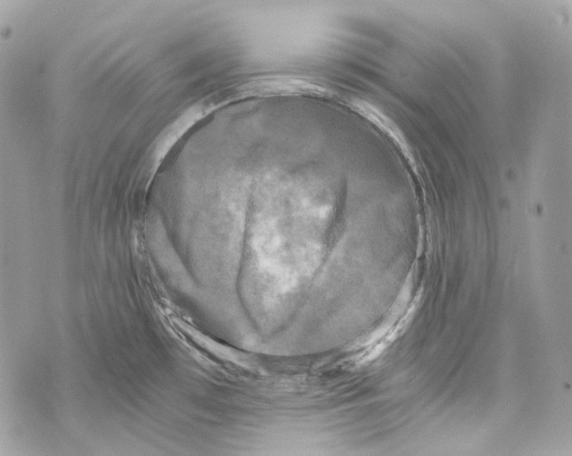 X0000069811481200606161837