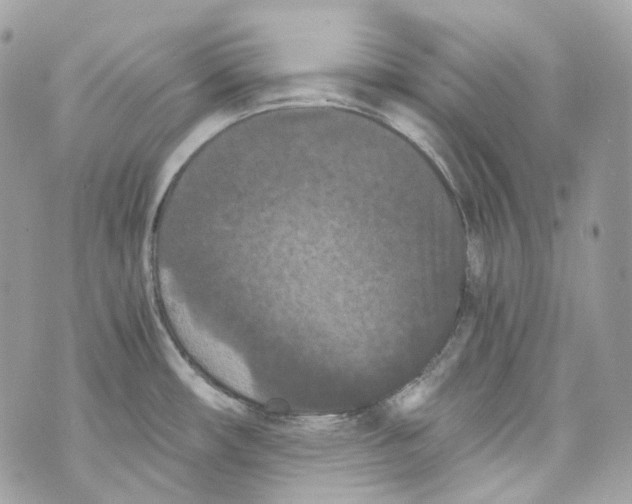 X0000069811482200606161837