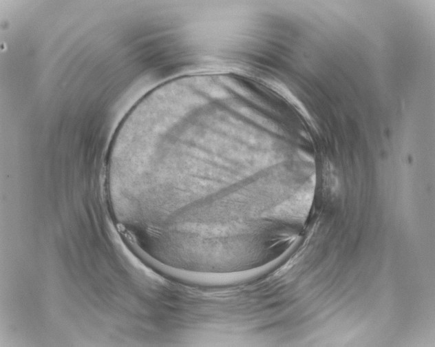 X0000069811484200606161837