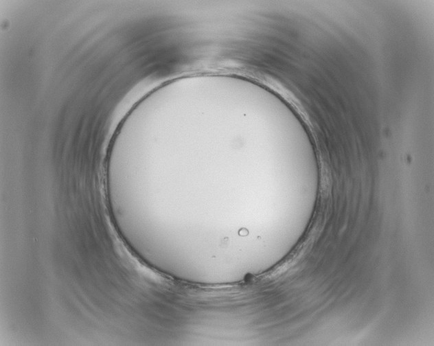 X0000069811486200606161837