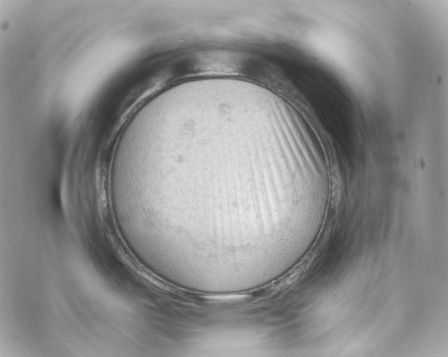 X0000069811487200606161837