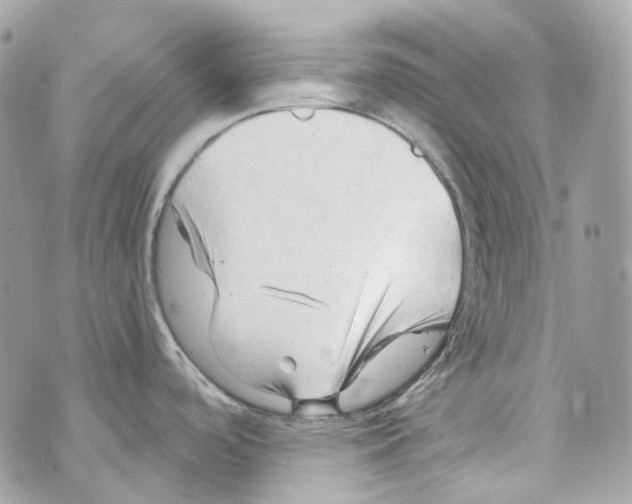 X0000069811488200606161837