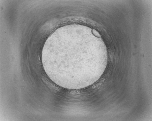 X0000069811489200606161836