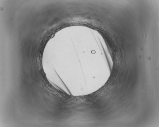 X0000069811493200606161836