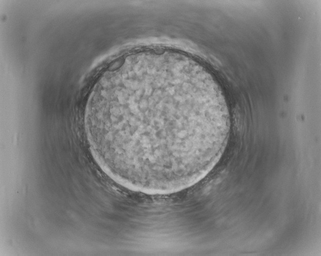 X0000069811494200606161836