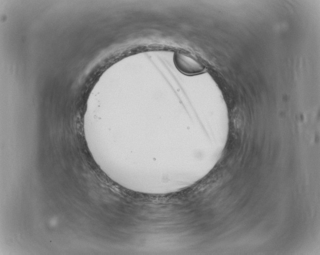 X0000069811495200606161836