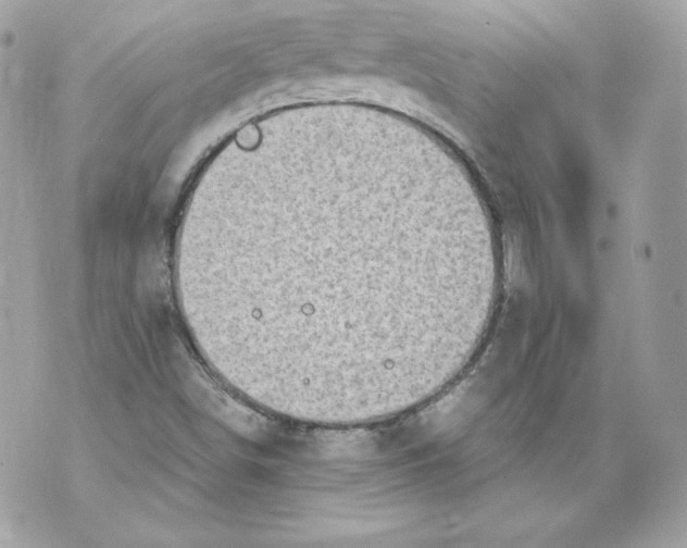 X0000069811498200606161836