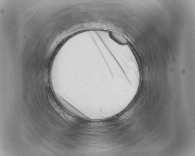 X0000069811499200606161836