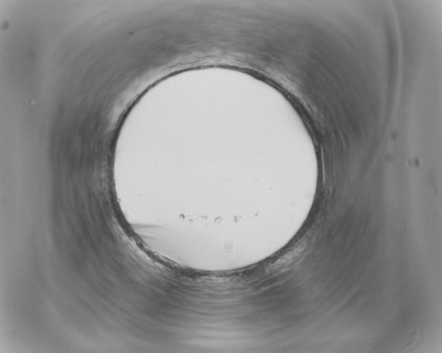 X0000069811500200606161836