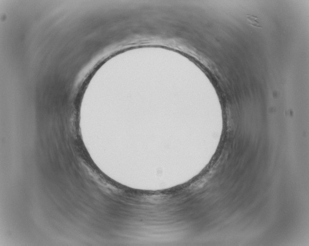 X0000069811502200606161836