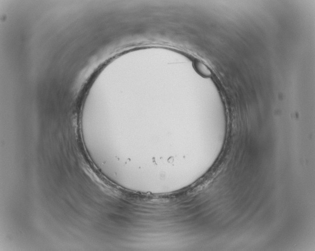 X0000069811503200606161836