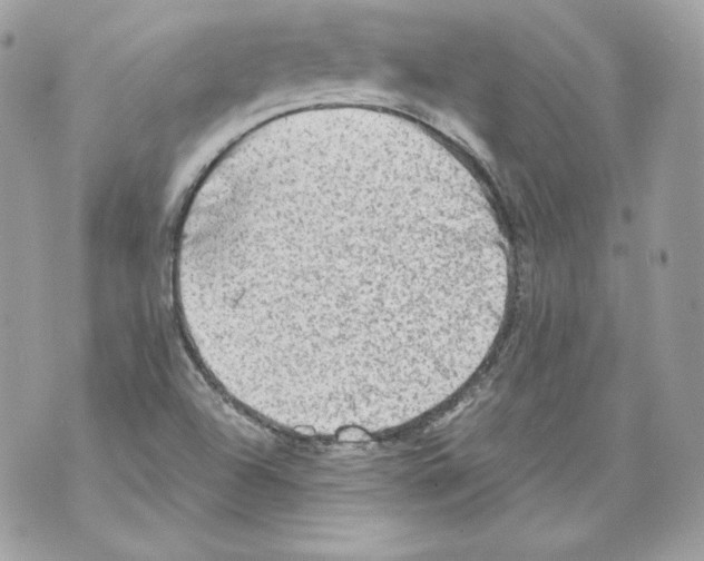 X0000069811504200606161836