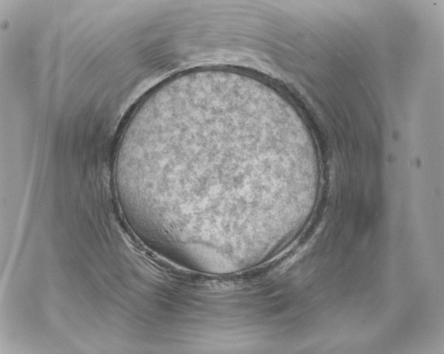 X0000069811505200606161836