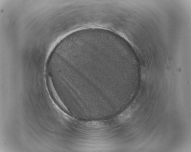 X0000069811508200606161836