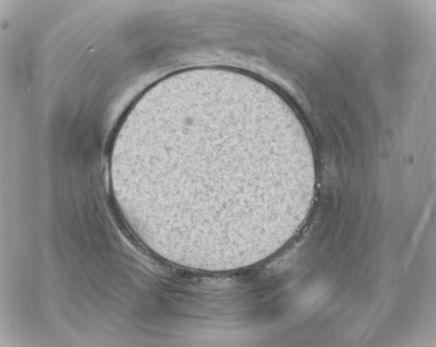 X0000069811509200606161836