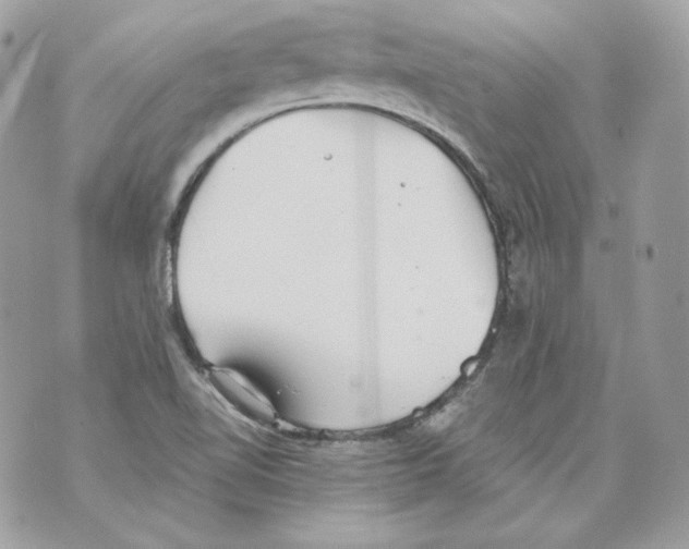 X0000069811510200606161836