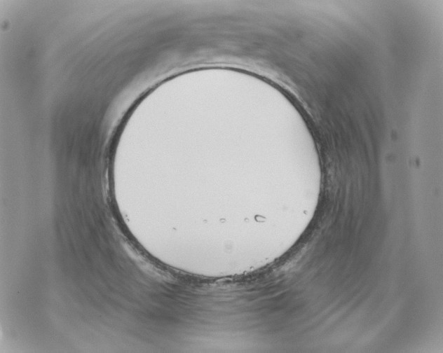 X0000069811511200606161836