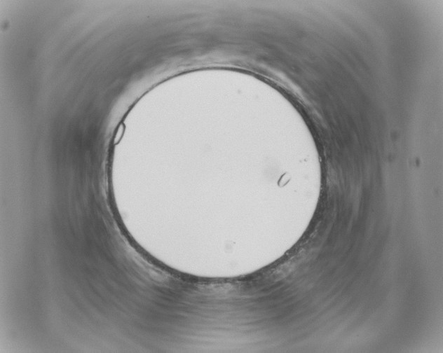 X0000069811512200606161836