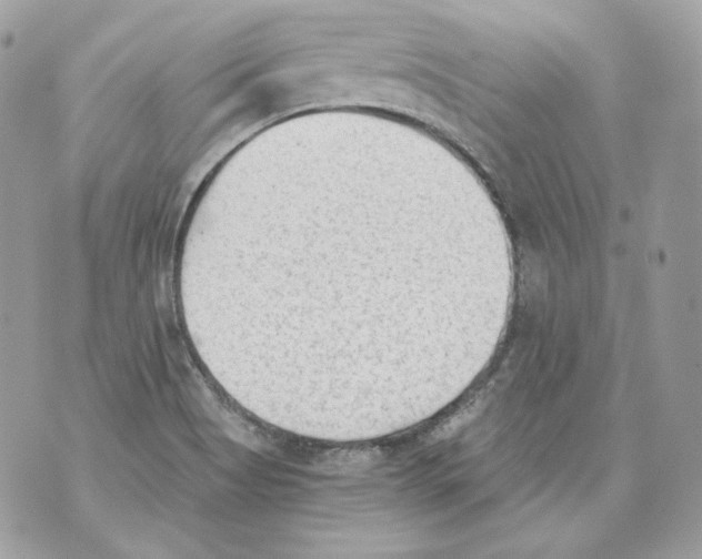 X0000069811513200606161836