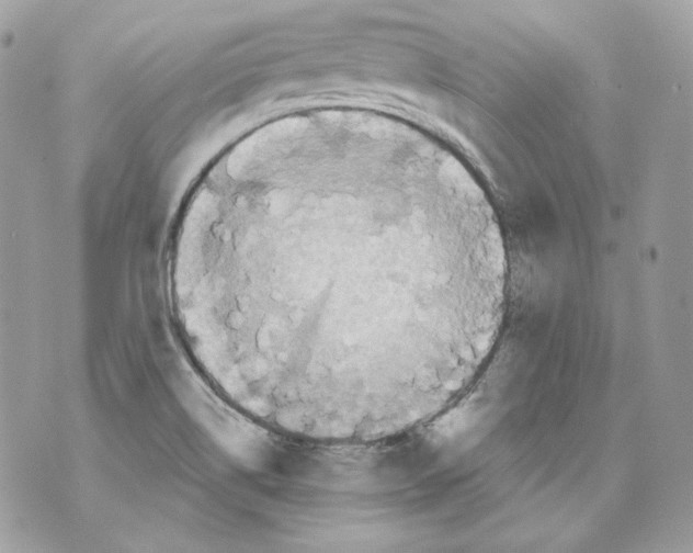 X0000069811514200606161836