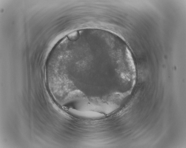 X0000069811515200606161836