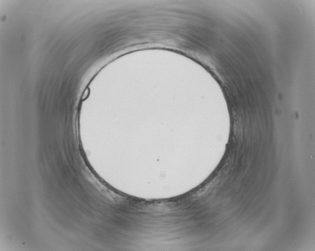 X0000069811516200606161836