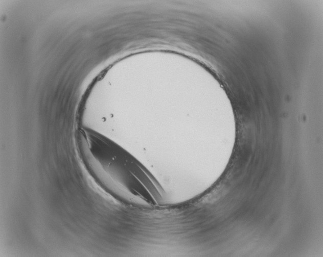 X0000069811518200606161836