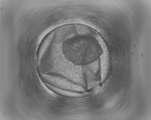 X0000069811519200606161836