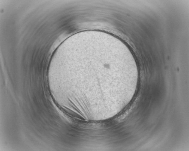 X0000069811521200606161836