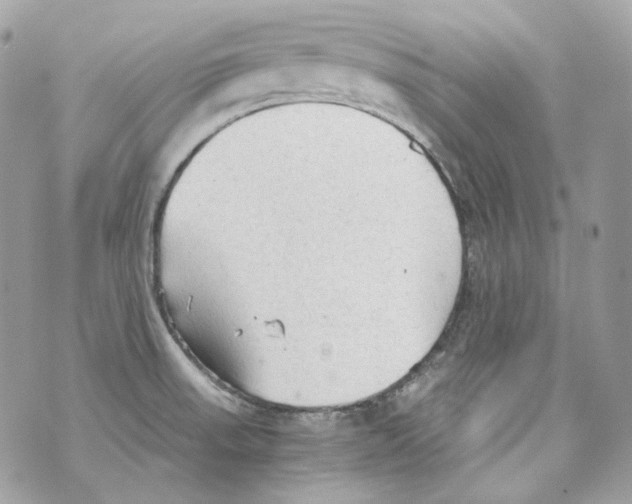 X0000069811523200606161836