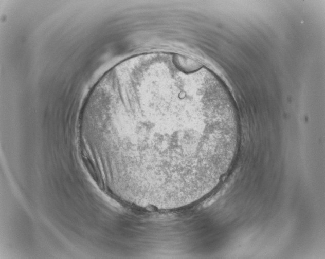 X0000069811525200606161836