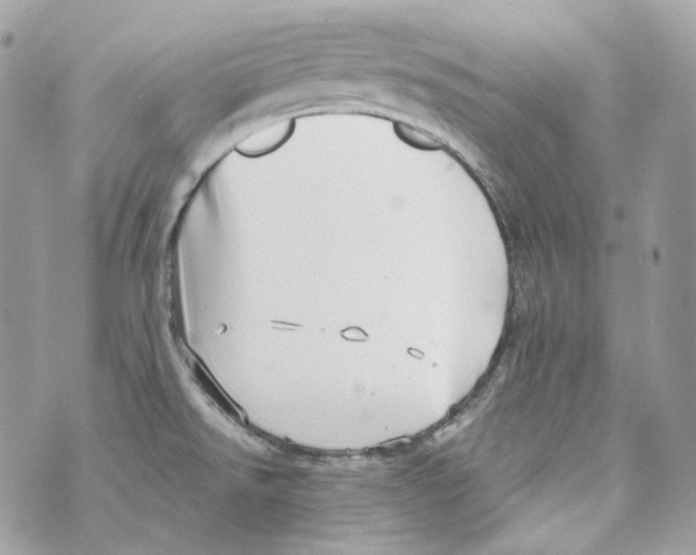 X0000069811526200606161836