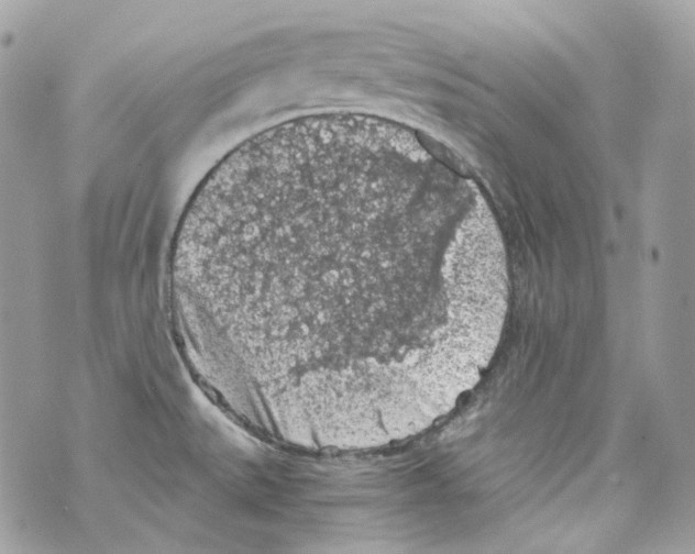 X0000069811527200606161836