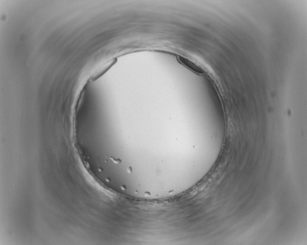 X0000069811528200606161836