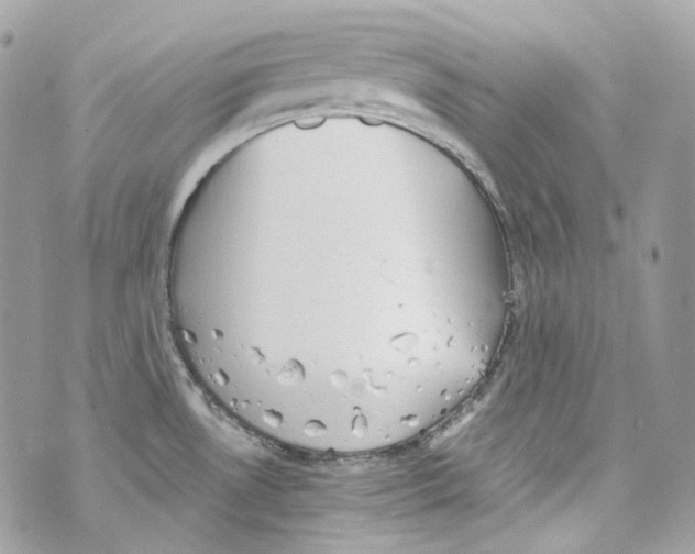 X0000069811530200606161836