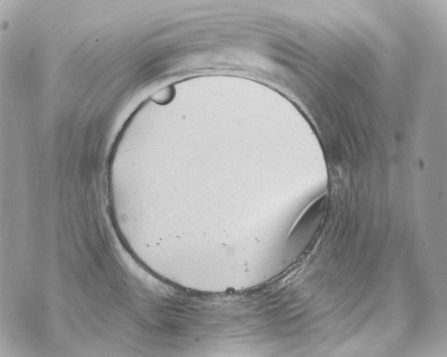 X0000069811531200606161836