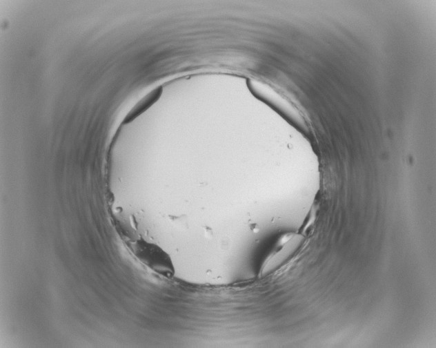 X0000069811532200606161836