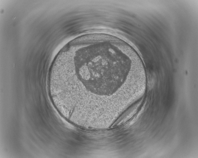 X0000069811533200606161836