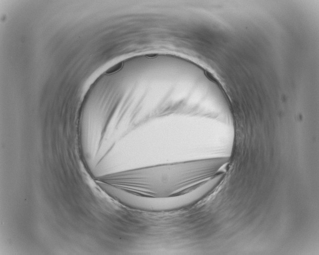 X0000069811534200606161836