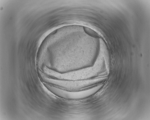 X0000069811535200606161837