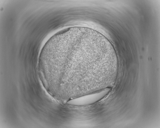 X0000069811536200606161837